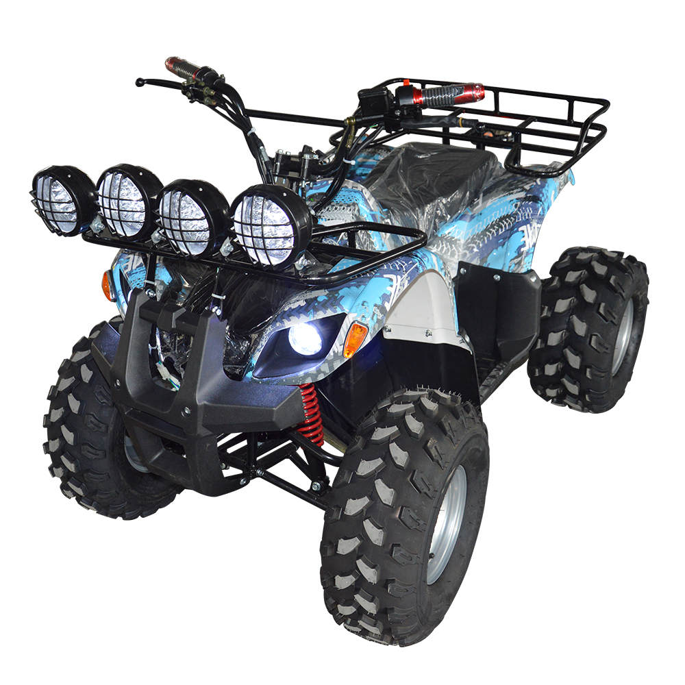 blue color 12v Adult Beach Buggy For Sale